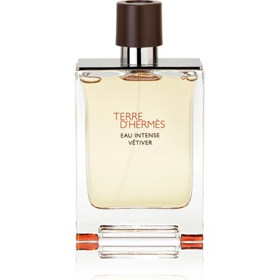 Hermès Terre d'Hermès Eau Intense Vétiver parfumovaná voda pánska 100 ml tester