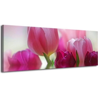 Růžové tulipány plátno 1 100x40