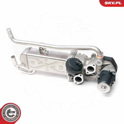 AGR - Ventil ESEN SKV 14SKV095