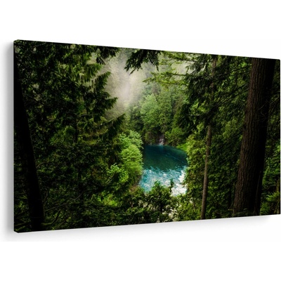 Obraz - Průzor mezi stromy, jednodílný 150x100 cm