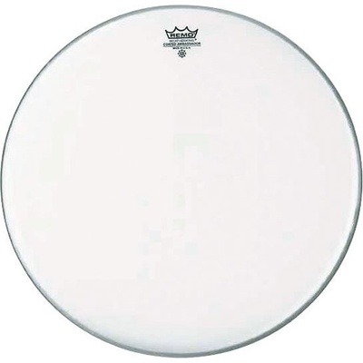 Remo Ambassador Coated 22"
