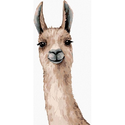 Malování podle čísel Lama na bílém pozadí