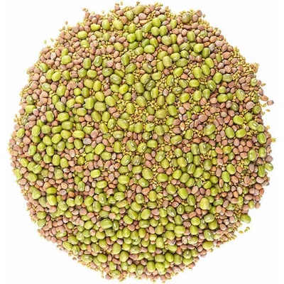 ZdravýDeň BIO Zmes semien na klíčenie 1 alfalfa reďkovka mungo 200 g