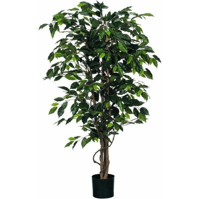 Umelá rastlina Fikus, 150 cm, zelená, 980152