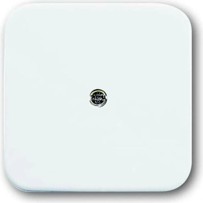 Busch-Jaeger 2CKA001724A0921