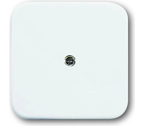 Busch-Jaeger 2CKA001724A0921