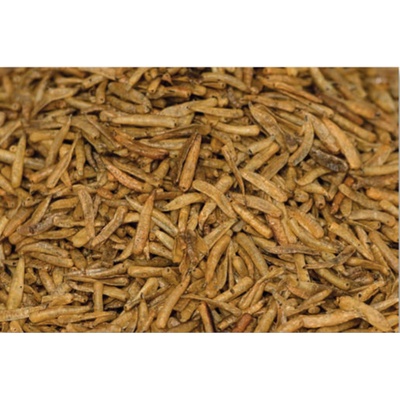 Artemia Koral Sušená larva mouchy 500 ml