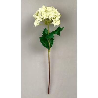 Kalina (viburnum) LUX bílá - 92 cm