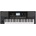 Korg PA300