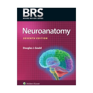 BRS Neuroanatomy | Gould, Dr. Douglas J. , PhD (ISBN: 9781975214371)