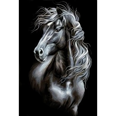 Norimpex - Puzzle Diamant painting: Black and white horse - drawing 30x40cm - 1 - 39 piese