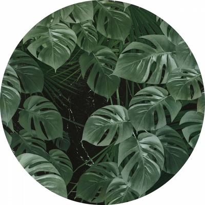 Komar Dots D1-023 Kulatá samolepicí fototapeta Monstera průměr ø 125 cm