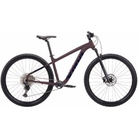Bicykle