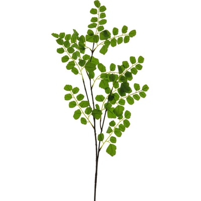 Akácie větev zelená (spary) V90 cm