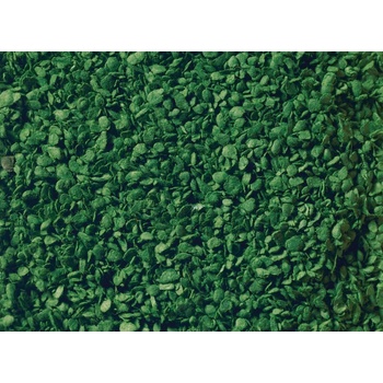 Noch Lístie stredne zelené 100g