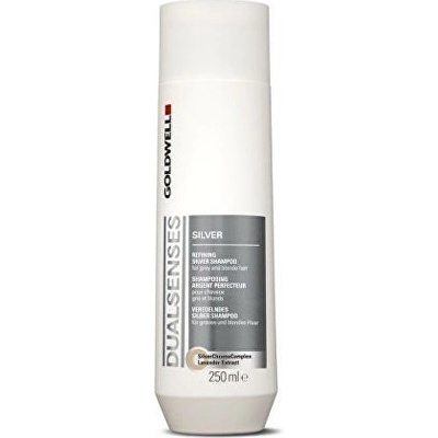 Goldwell DS Silver Šampon pro blond a šedivé vlasy 250 ml – Zbozi.Blesk.cz