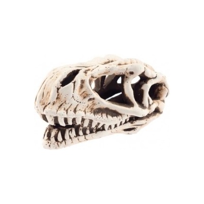 Aquanova Lebka dinosaura 14 cm