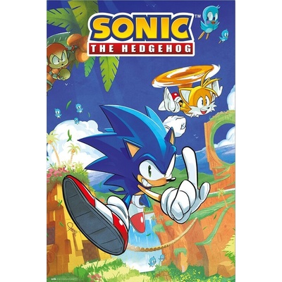 Plagát, Obraz - Sonic the Hedgegog - Sonic & Tails, 61 × 91.5 cm