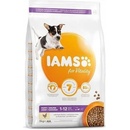 IAMS Dog Puppy Small & Medium Chicken 12 kg