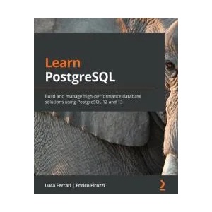 Learn PostgreSQL | Luca Ferrari, Enrico Pirozzi (ISBN: 9781838985288)