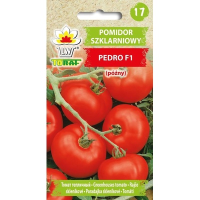 RAJČE PEDRO F1 hybrid SKLENÍKOVÉ, POZDNÍ /80 SEMEN/