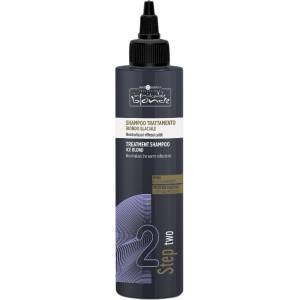 Hair Company Professional Hair Company Inimitable Blonde Ice Blond Treatment Shampoo 250 ml