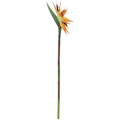 Strelície oranžová, 95 cm