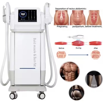 Moonlight EMSlim Max 2025