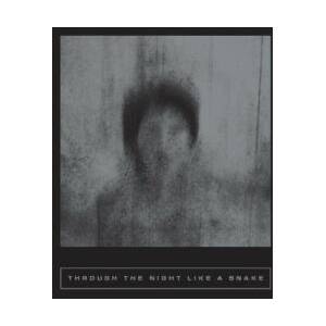 Through the Night Like a Snake: Latin American Horror Stories (ISBN: 9781949641578)