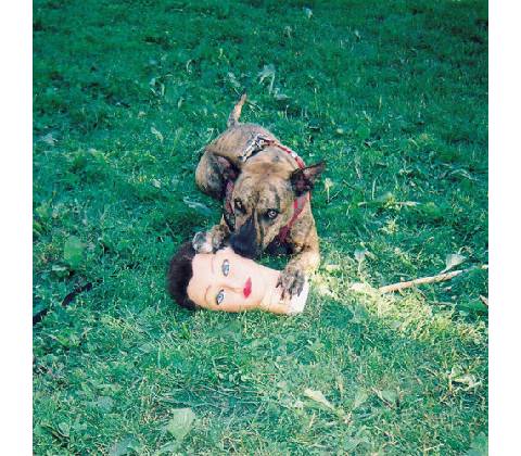 Cody - Joyce Manor CD