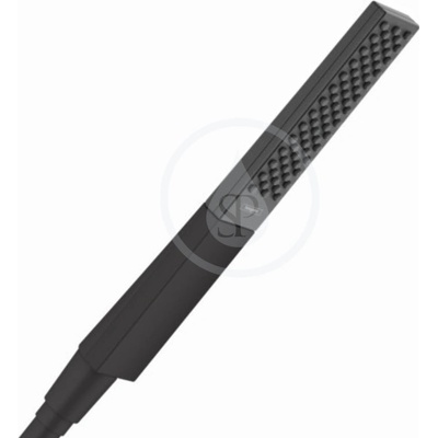 Hansgrohe 26866670