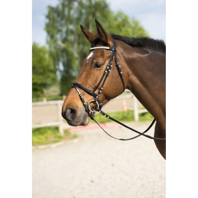 RIDING WORLD Diamond hnědá havana – Zboží Mobilmania