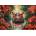 Castorland - Puzzle Hippo Relaxation - 500 piese