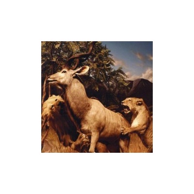 Interpol - Our Love To Admire CD