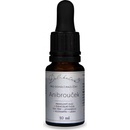 Delibutus Antibrouček 10 ml