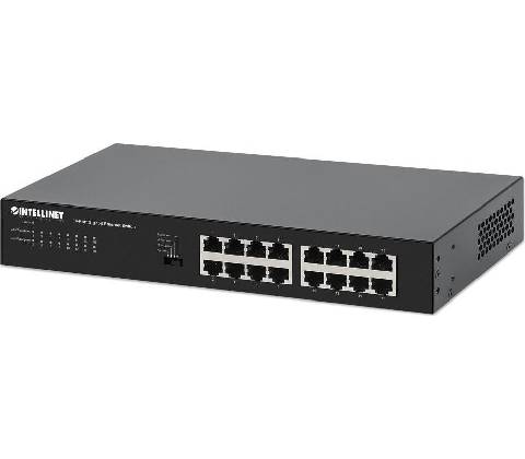 Intellinet 561815