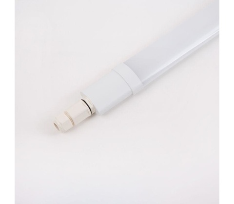 Eco Light EC79946