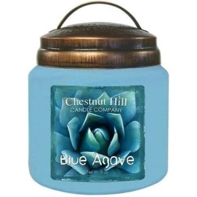 Chestnut Hill Candle Blue Agave 454 g