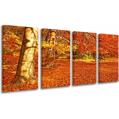 Obraz na stenu STROMY - 120x60 cm
