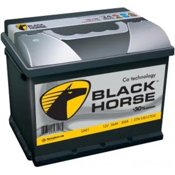 BLACK HORSE 100Аh 800EN