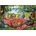 Alipson Puzzle - Puzzle The Cat Picnic - 1 000 piese