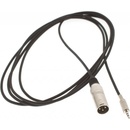 Bespeco EAMS450