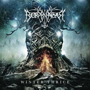 Winter Thrice - Borknagar CD