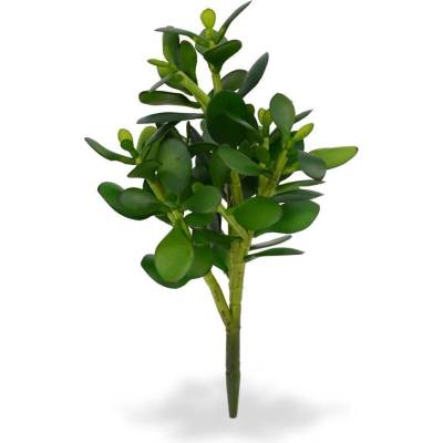 MF Umělá rostlina Crassula Bukett (30cm)