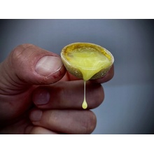 LK Baits Nutrigo Extra Cheese 250ml 24mm