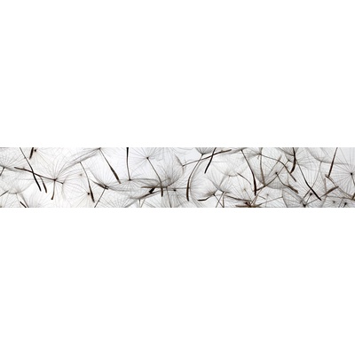 Dimex KI350-050 Samolepící fototapeta do kuchyně Dandelion seeds rozměry 350 x 60 cm