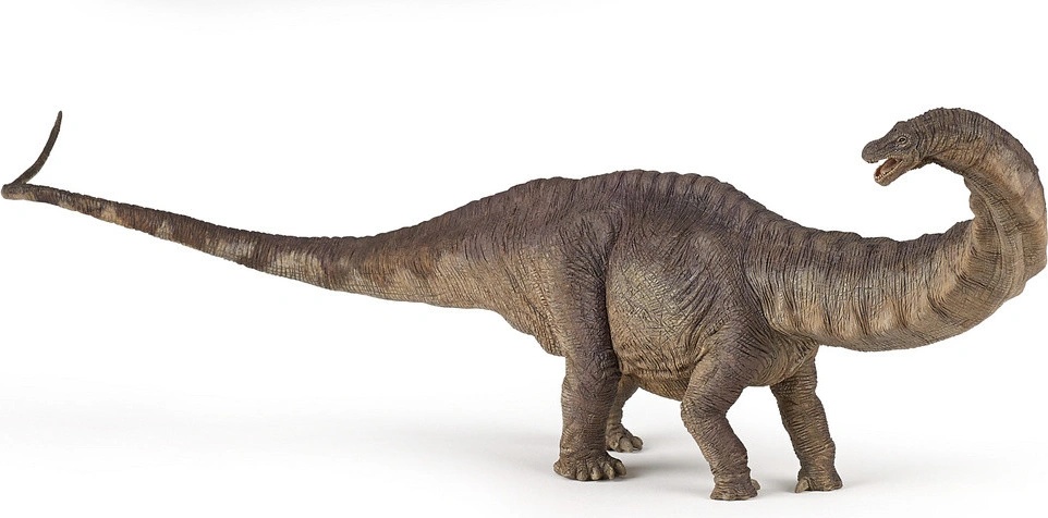 Apatosaurus