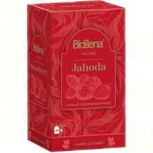 Biogena Traditional Jahoda porcovaný ovocný čaj 20 x 2 g