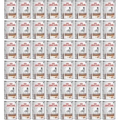 Royal Canin Veterinary Diet Adult Dog Gastrointestinal Low Fat 48 x 420 g