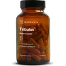 Herbavia Tribulus kotvičník bylinný extrakt 60 kapslí
